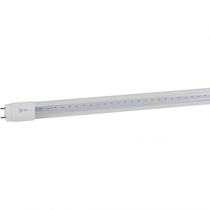 Лампа светодиодная ЭРА FITO-18W-RB-Т8-G13-NL Б0042990 18Вт T8 линейная 96LED 2835 IP20 35000ч для растений/для подсветки мясных витрин красный/синий спектр стекло B0042990 Лампа светодиодная ЭРА FITO-18W-RB-Т8-G13-NL Б0042990 18Вт T8 линейная 96LED 2835 IP20 35000ч для растений/для подсветки мясных витрин красный/синий спектр стекло B0042990